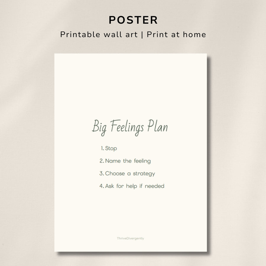 Big Feelings Plan